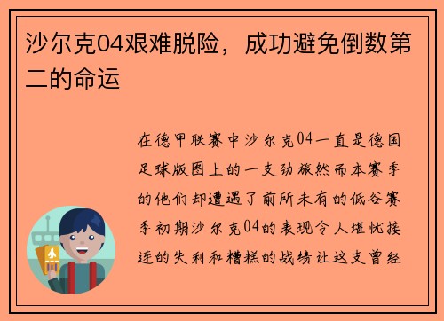 沙尔克04艰难脱险，成功避免倒数第二的命运