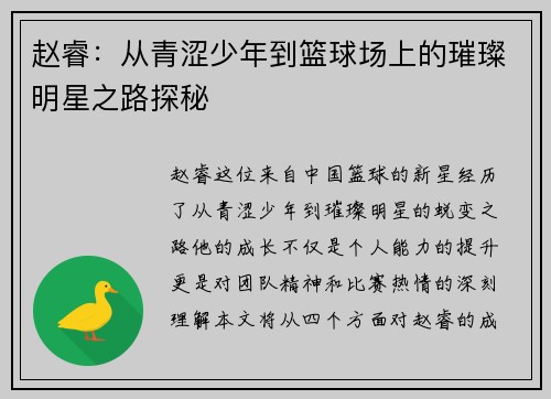 赵睿：从青涩少年到篮球场上的璀璨明星之路探秘
